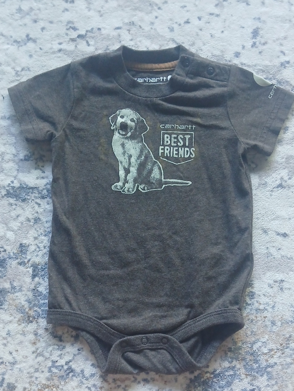 Carhartt Brown Baby Onesie with Dog Graphic - "Best Friends"